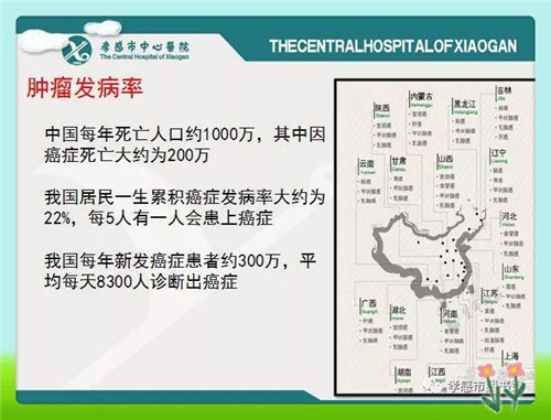 港奥宝典资料